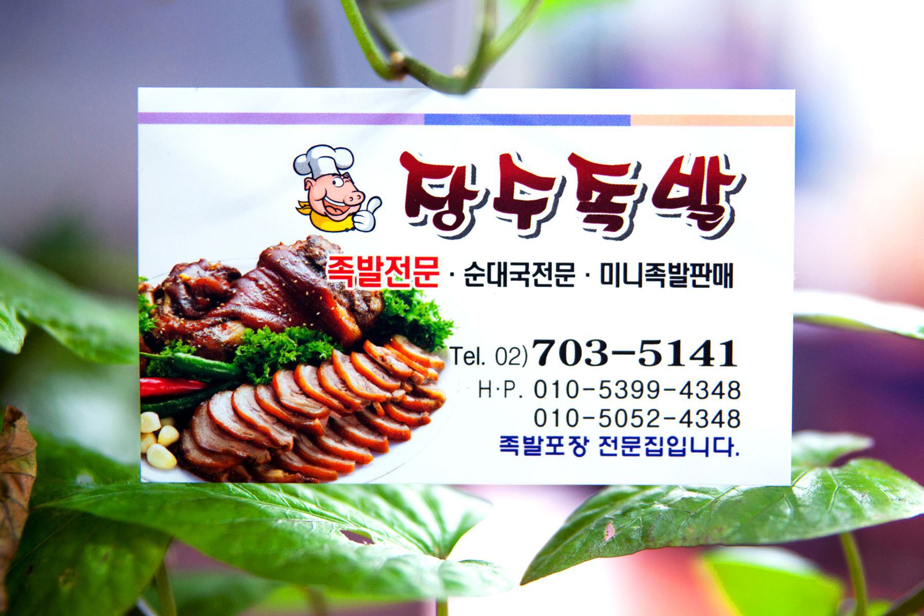 방방콕콕
