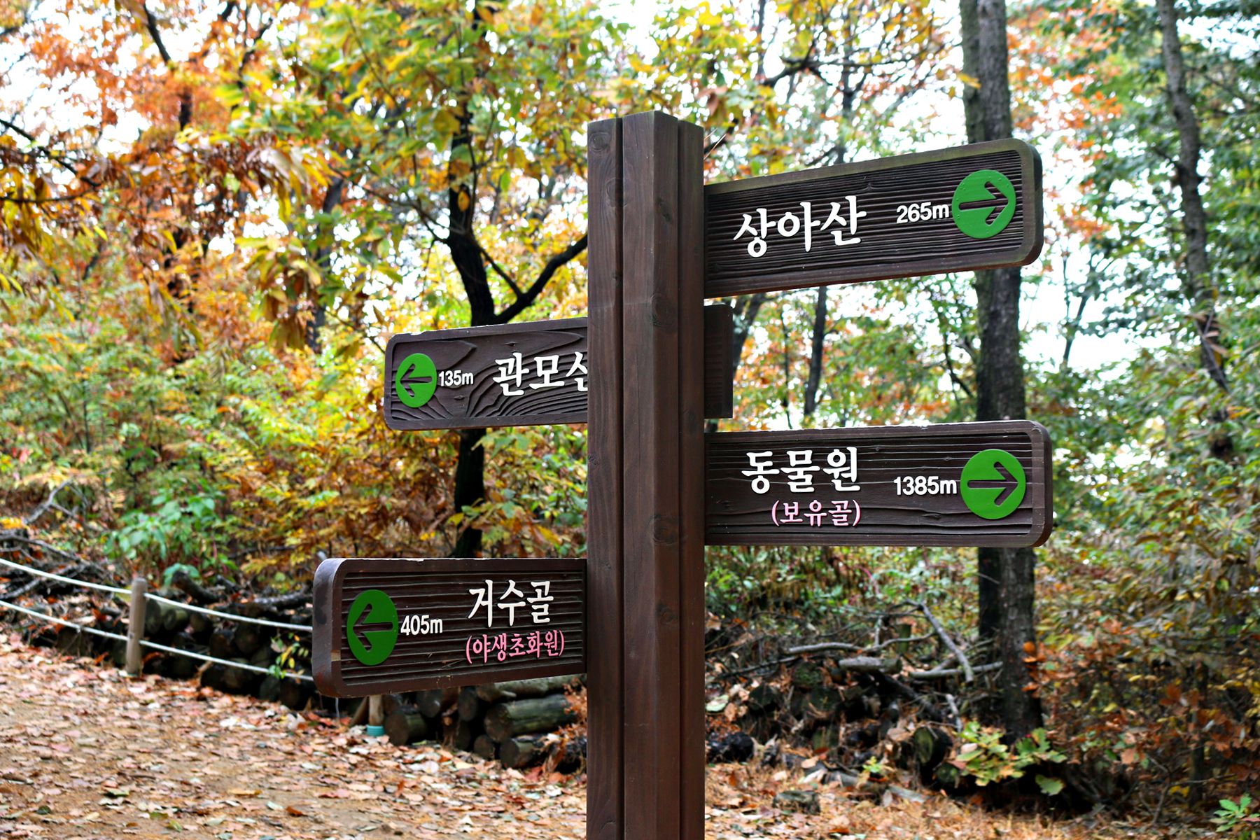 방방콕콕